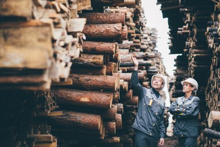 logging workers in front of truck of cut logs